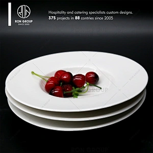 Ceramic White Dinner Plate for Restaurant Hotel Wedding