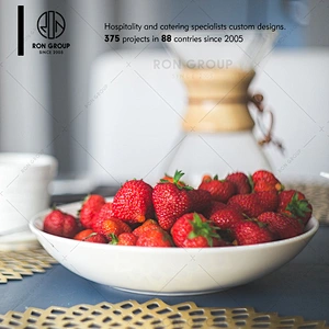 High Quality Unbrekble Melamine Dinner Set for Restaurant