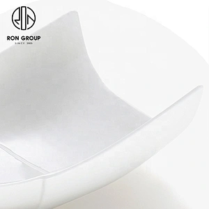 Fine Porcelain 10