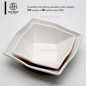 High Quality Unbrekble Melamine Dinner Set for Restaurant