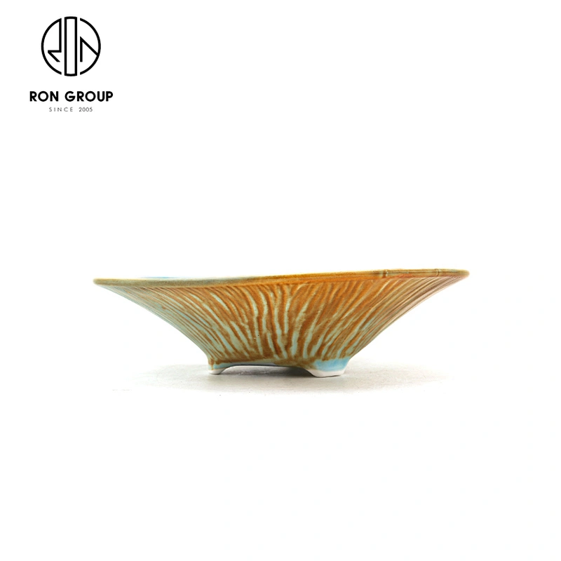 Hotel Tableware Ceramic New Design 9 Inch Triangle Noodle Soup Bowl