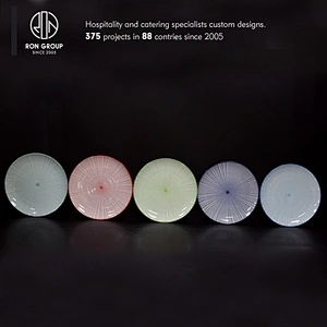 Wholesale Food grade restaurant elegance porcelain plate