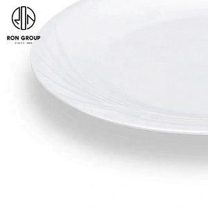 10 Inches Round Shape Plain White Ceramic Quality Round Plate