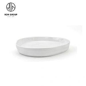 Irregular Porcelain Cutlery Western Steak Fruit Salad Dessert Plate