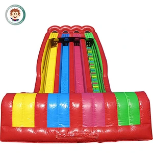 Colorful inflatable dry or wet slide playground amusement for sale