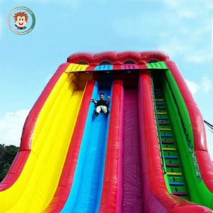 Colorful inflatable dry or wet slide playground amusement for sale