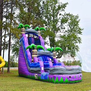 Factory Professional Supply Giant  Water Slide Inflatable For Outdoor Water Park