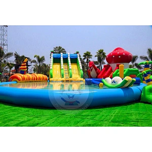 Commercial Giant Fashion Funny Inflatable Water Slide With Swimming Pool