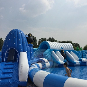 New Fashion Design Popular Giant Inflatable Water Slide With Pool For Sale