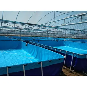 Outdoor inflatable swimming pool professional inflatable garden pool