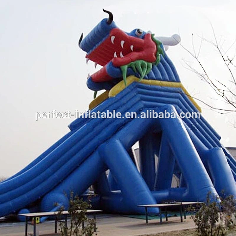 large dragon inflatable water slides for children and for the water park