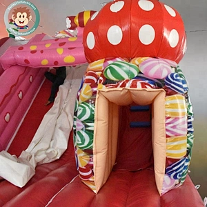 Hot sale 0.55mm PVC Outdoor KIds Size jumping bounce slide Park Equipment Inflatable Water Slide