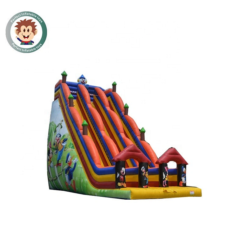Perfect Inflatable Toys Professional Manufacturer Commerical Outdoor Inflatable Dry Slide