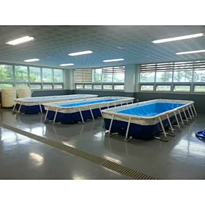 Amazing factory price inflatable indoor swimming pools for sale with holders