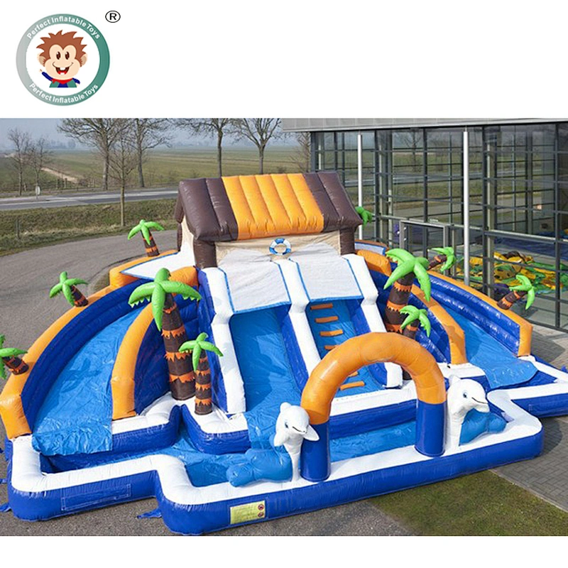 Perfect Inflatable Toys Customized Amusement Park Inflatable Water Park Slide For Sale