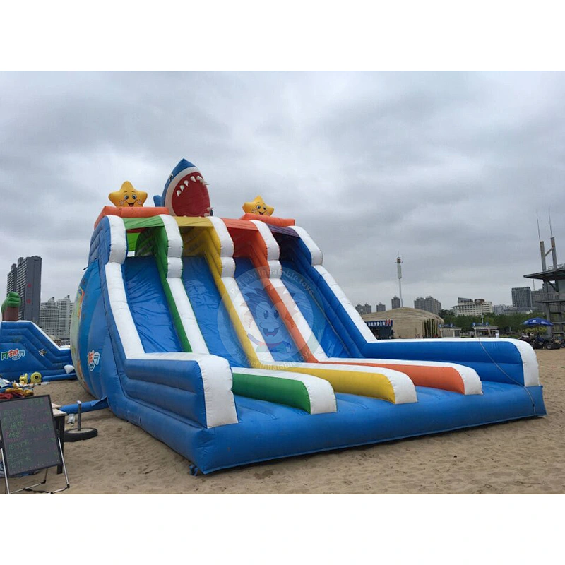 Outdoor Summer PVC Swimming Pool Inflatable Slide For Children And Adults