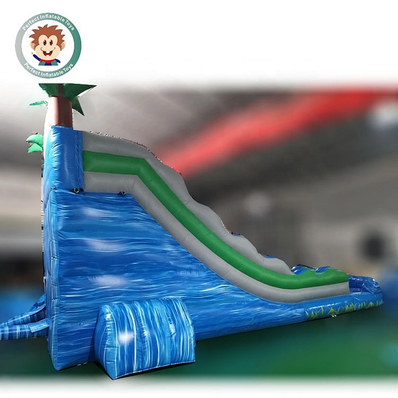 Perfect Inflatable Toys PVC tarpaulin Adults Size Water Pool Inflatable Outdoor Slides
