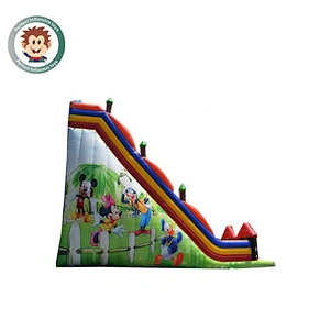 Perfect Inflatable Toys Professional Manufacturer Commerical Outdoor Inflatable Dry Slide