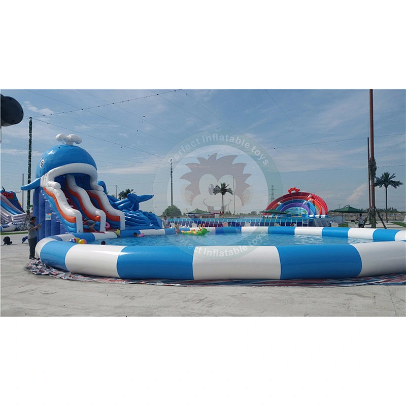 Summer Newly Design Pool Slide  Inflated For Use In Amusement Parks