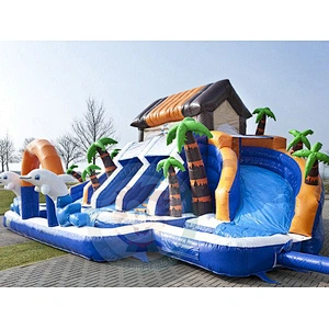 Safety New Inflatable Water Slide Designed For  Giant Swimming Pool
