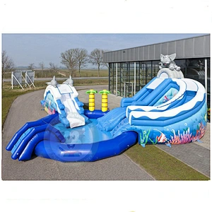 Commercial Large Water Park Equipment Inflatable Water Slide With Swimming Pool