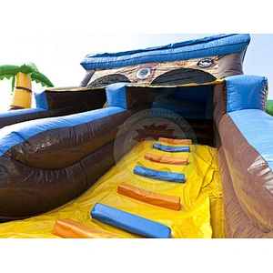 Safety New Inflatable Water Slide Designed For  Giant Swimming Pool