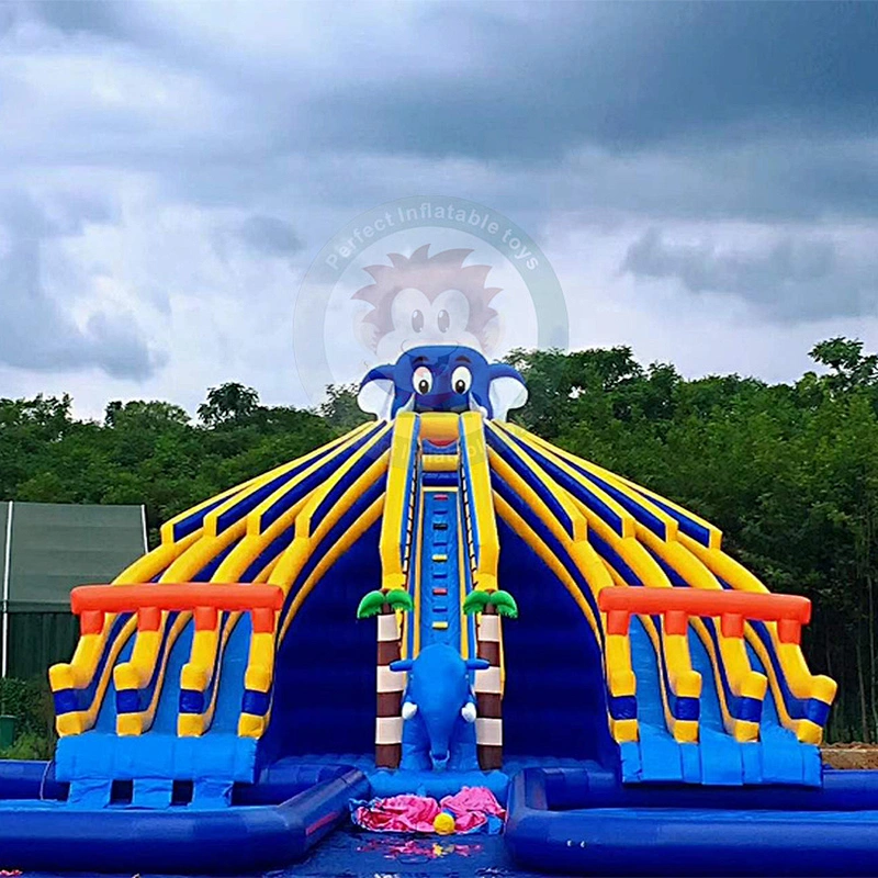 Factory Direct Sale  PVC Tarpaulin Inflatable Water Slide for Pool