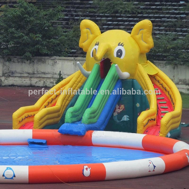 Giant Inflatable shark water slide with pool, funny inflatable water slide