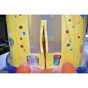 Lovely style inflatable cake bounce house for kids party/event