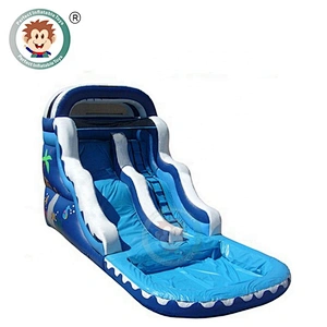 Hot sale Perfect Inflatable water slide with Swimming Pool
