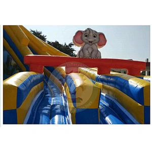 Factory Direct Sale  PVC Tarpaulin Inflatable Water Slide for Pool