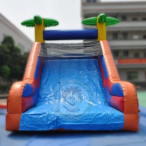 Hot Sale Summer New Design Small Inflatable Water Slide For Kids And Adults
