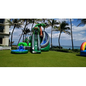 Animal Aqua Tree House Inflatable Slide
