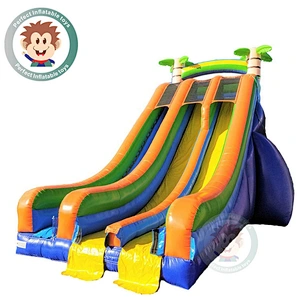 Professional Custom Design Colorful Double Slide Giant Inflatable Water Slide