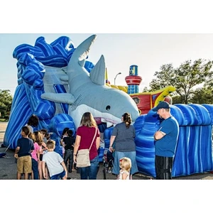 commercial crazy slide for sale  outdoor inflatable shark slide