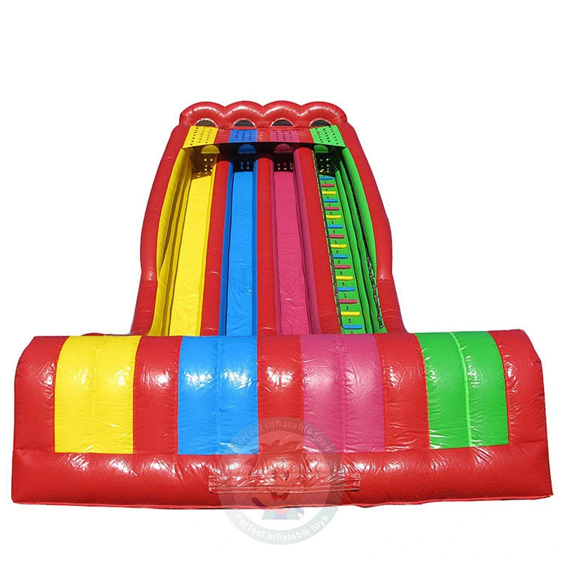 Professional Custom Design Colorful Double Slide Giant Inflatable Water Slide