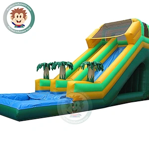 Custom Commercial Cheap Inflatable Water Slide And Swimming Pool For Kids