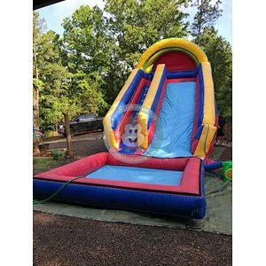 Adult Kids Water Slide Inflatable