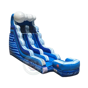 2019 Summer New Design Commercial Adult Size Inflatable Water Slide With Giant Pool