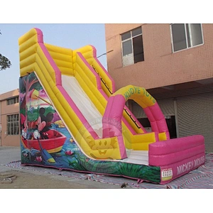 Customized Factory New Design Plastic Material Large Inflatable Water Slide For Sale