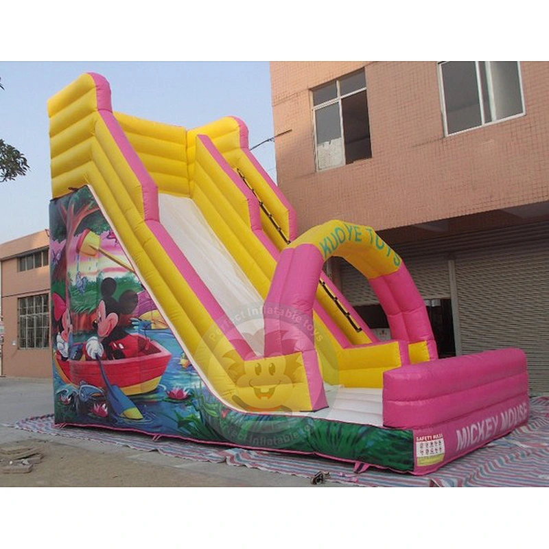 Customized Factory New Design Plastic Material Large Inflatable Water Slide For Sale