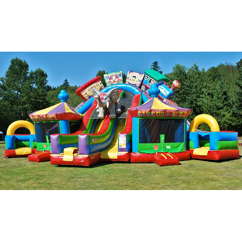 Commercial Kids Inflatable Castle