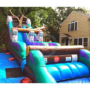 Giant Adult Kids Cheap Inflatable Slide