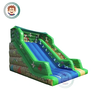 Outdoor Commercial Inflatable Jumping Castle Water Slide For Adults And Kids