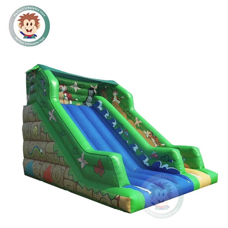 Outdoor Commercial Inflatable Jumping Castle Water Slide For Adults And Kids