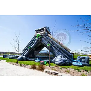 Factory Supply Cheap Price Good Quality Adult Inflatable Water Slide With Pool