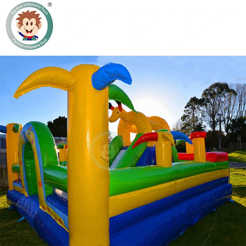 House Commercial Inflatable Bounce Water