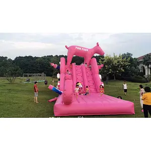 New design commercial pink slide course inflatable obstacle for kids