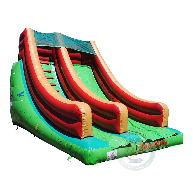 Professional Custom Design Colorful Double Slide Giant Inflatable Water Slide