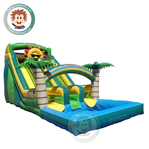 Durable PVC Material Giant Adult Size Inflatable Water Slide For Sale